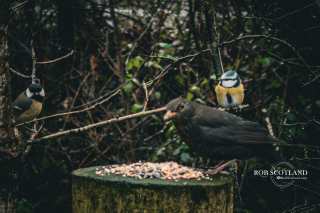 Gartmorn Dam Country Park